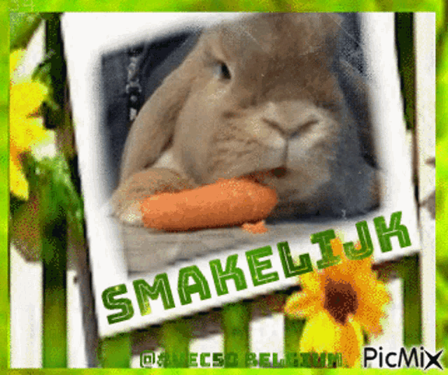 a picture of a rabbit eating a carrot with the caption " smakelik "