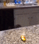 a kitchen counter with a sink and a candle on it