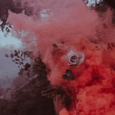 a rose is surrounded by red smoke and a yellow square