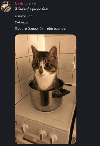 a cat is sitting in a pot on top of a stove with a foreign language caption