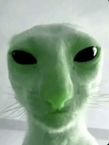 Alien Cat GIF - Alien Cat GIFs