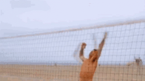 Volleyball GIF - Volleyball GIFs