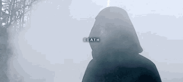 a silhouette of a person wearing a hooded jacket in a foggy forest .