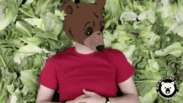 a man wearing a bear mask is surrounded by lettuce leaves