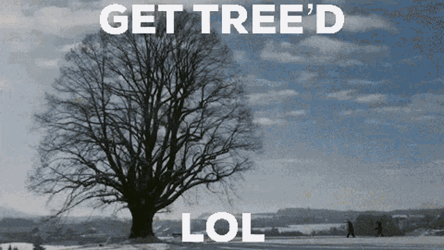 a picture of a tree with the words get tree 'd lol