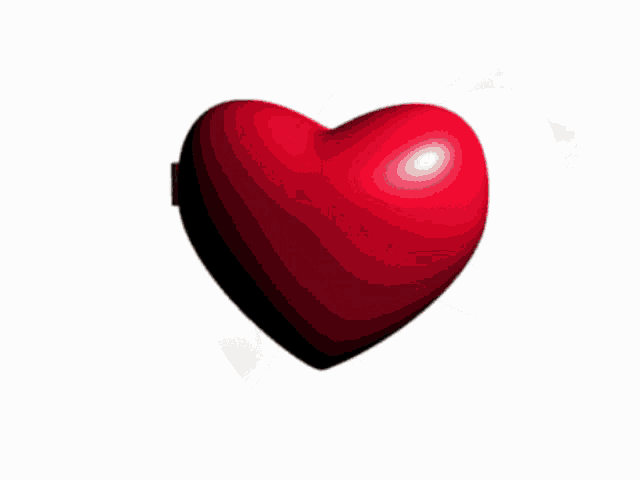 a heart shaped mirror with a picture of a man and the words drago my beloved