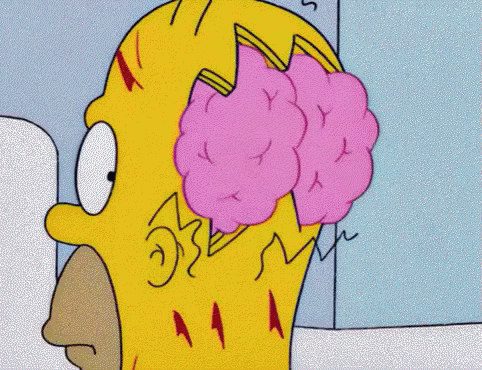 Homer'S Brain - The Simpsons GIF - The Simpsons Homer Simpson Skull GIFs