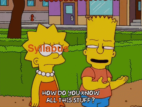 Syllabus Simpsons GIF - Syllabus Simpsons How Do You Know GIFs