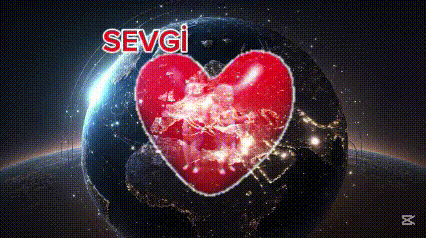 a red heart is surrounded by a black globe in the middle of a dark space .