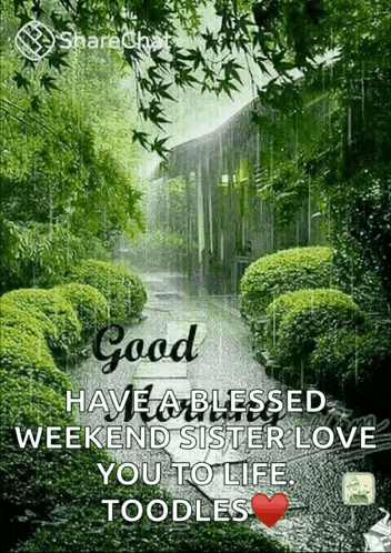 good have a blessed weekend sister love you to life noodles