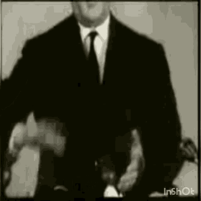 a black and white photo of a man in a suit and tie with the words inshot below him