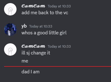 a screenshot of a conversation between two people with one saying " add me back to the vc "