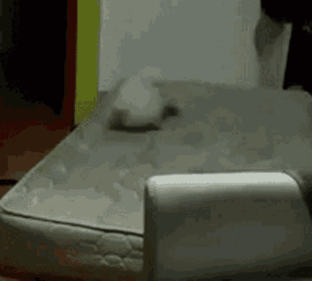a person is cleaning a mattress with a toaster oven