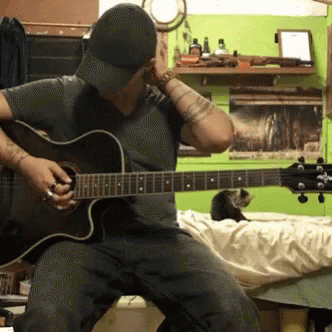 Tired Guitar GIF - Tired Guitar Playing GIFs