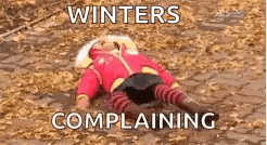 a child is laying on the ground in a pile of leaves with the words `` winters complaining '' .