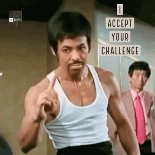 Challenge Accepted GIF - Challenge Accepted Bring GIFs
