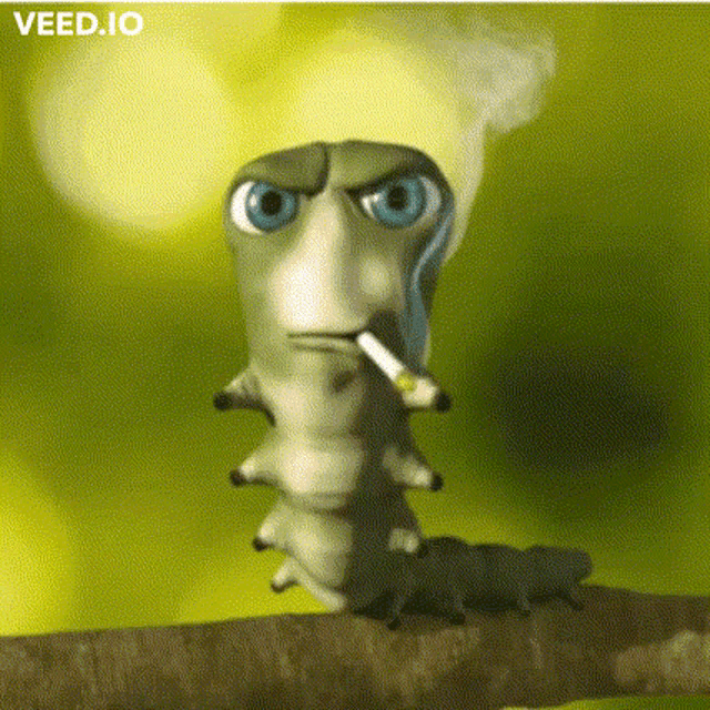 Smoking Catterpillar Meme