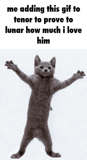 a gray cat with its arms outstretched and a caption that says me adding this gif