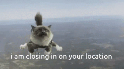 Cat Cat Flying GIF - Cat Cat Flying I Am Closing In On Your Location GIFs