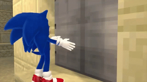 Enter Sonic GIF