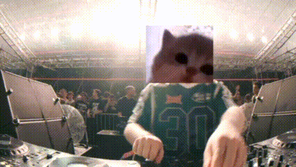 a person with a cat on their head is playing a dj set in front of a crowd .