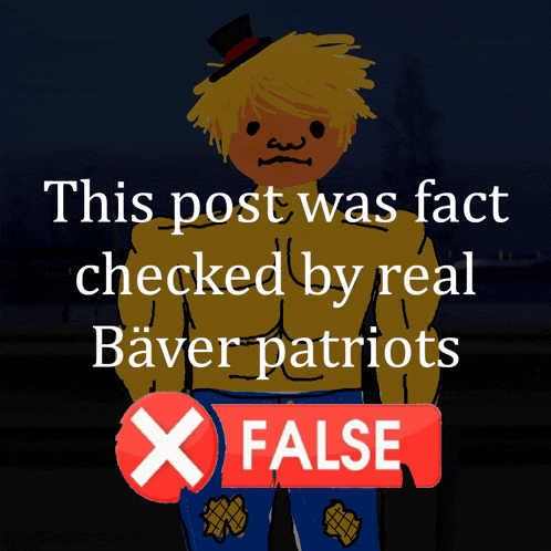 a picture of a scarecrow with the words this post was fact checked by real baver patriots below him