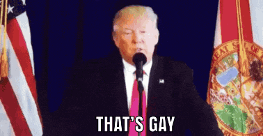 donald trump is giving a speech in front of an american flag and says that 's gay