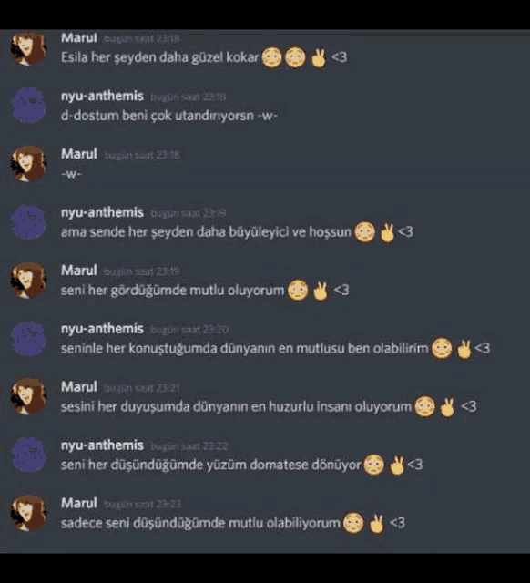 a screenshot of a conversation between marul and nyu-anthemis