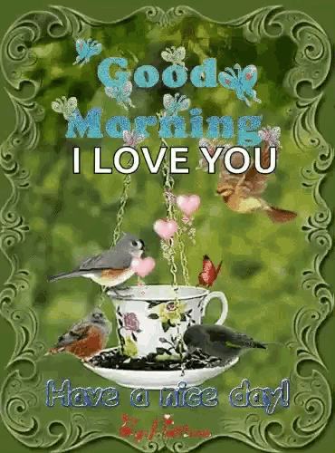a picture of birds in a cup with the words good morning i love you