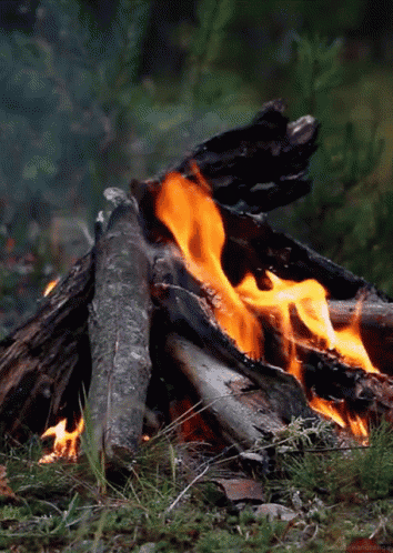 a campfire is burning in the grass with a lot of logs