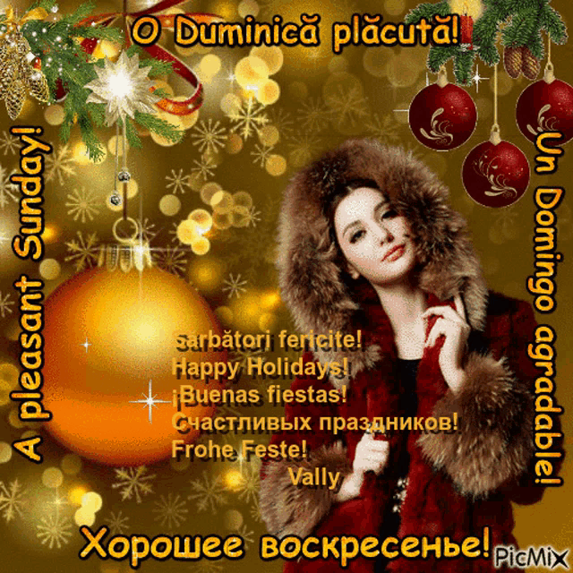 a picture of a woman in a fur coat with the words happy holidays written on it