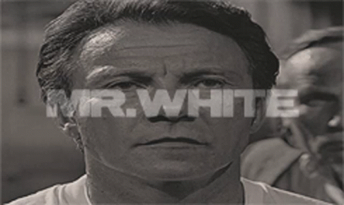 Mr White Reservoir Dogs GIF - Mr White Reservoir Dogs Harvey Keitel GIFs
