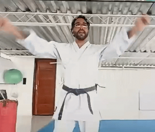 Cesarschool Ricardo Karate GIF - Cesarschool Ricardo Karate GIFs