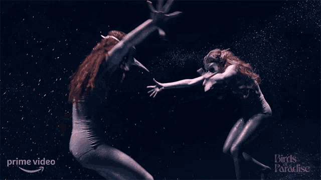 a birds of paradise poster with two women dancing in the dark