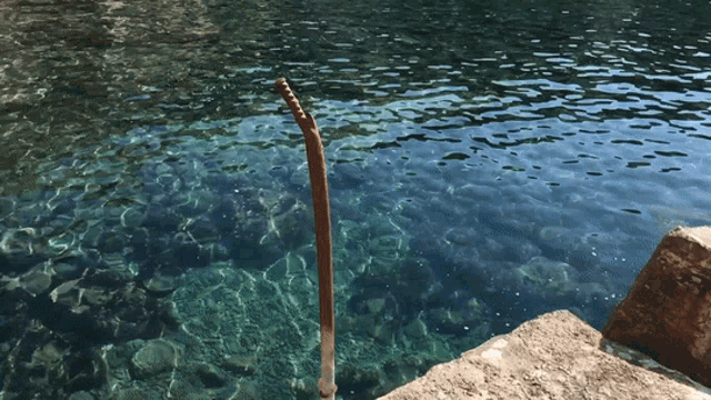 a metal pole is sticking out of the water
