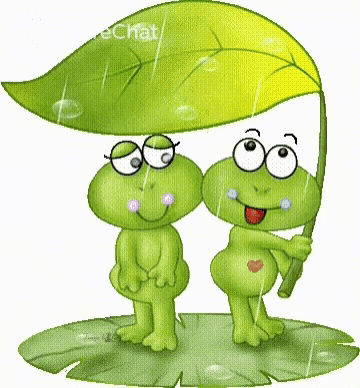 a couple of frogs standing under a leaf with the word echat on the bottom right