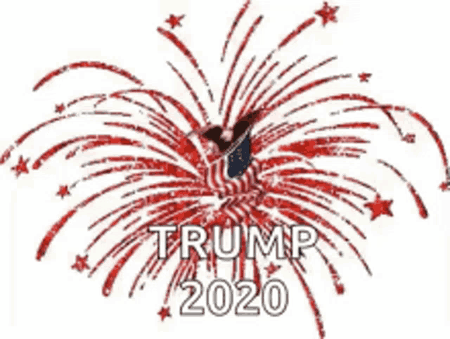 a fireworks display with the words trump 2020 written on it .
