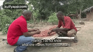 Ivoorkustfrankly, 1 Do Not Knowwhat One Makes From Cocoa Beans,.Gif GIF - Ivoorkustfrankly 1 Do Not Knowwhat One Makes From Cocoa Beans Person GIFs