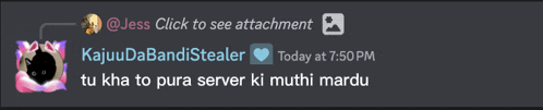 a screenshot of a discord conversation between jess click to see attachment and kajuudabanditstealer
