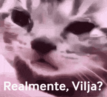 a close up of a cat 's face with the words " realmente vilja " written below it