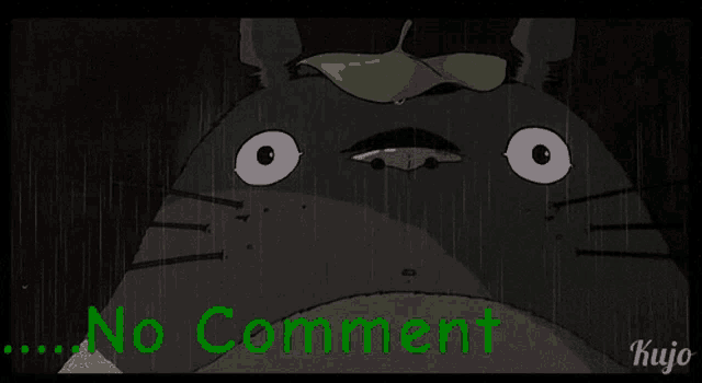 a picture of a cat with a green leaf on its head and the words no comment