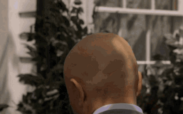 the back of a bald man 's head is shown in front of a window