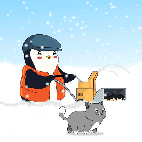 Cat Snow GIF - Cat Snow Winter GIFs