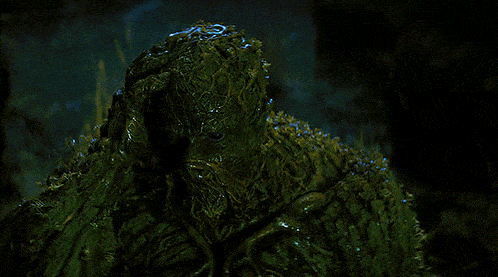 a swamp monster with a beard and a bearded face