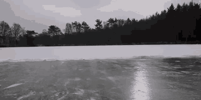 a black and white photo of an ice rink with trees in the background .