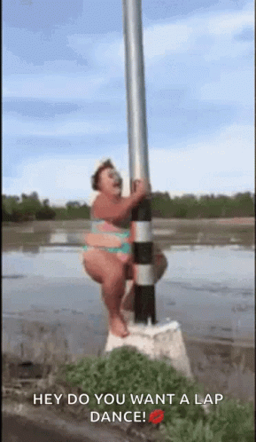 Stripper Pole Dancing GIF