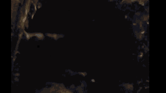 a fish is swimming in the dark waters of a pond .