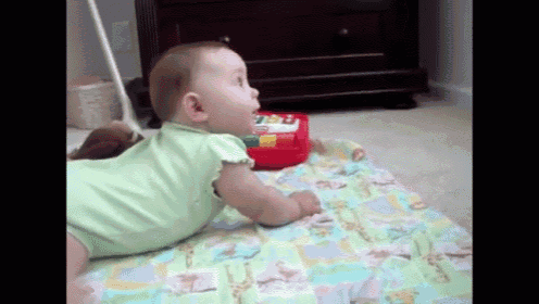 Baby Laughing At Barking Dog GIF - Baby Dogs GIFs