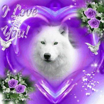 a picture of a white wolf in a purple heart with the words i love you