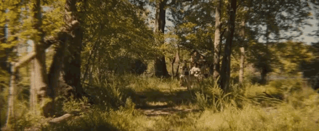 Camping Scouts GIF - Camping Scouts Exploring GIFs